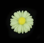 Resin cabochon "Marguerit - Daisy". 13 mm. Lys lime